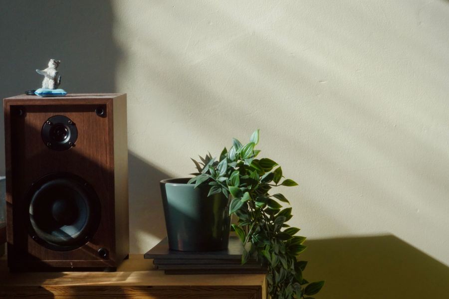 Modern home listening space featuring tailored audio room design, acoustics, and speaker placement.